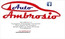 Logo AutoAmbrosio Srl